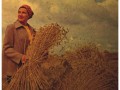 Harvest-2011-poster_530w Harvest-2011-poster_530w