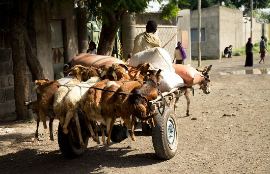 Ethiopia 2013