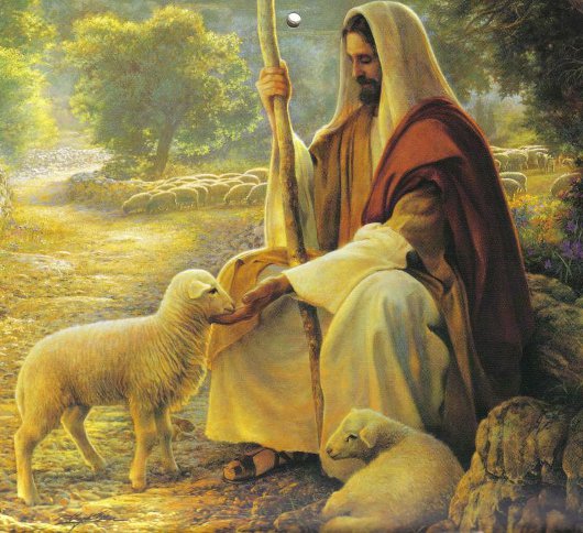 are jesus as the good shepherd