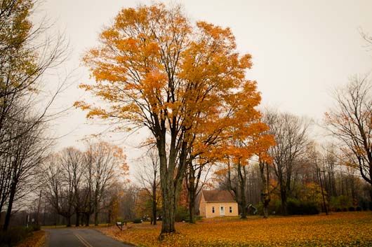 Allegheny Forest, Pennsylvania