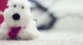 Puppy toy
