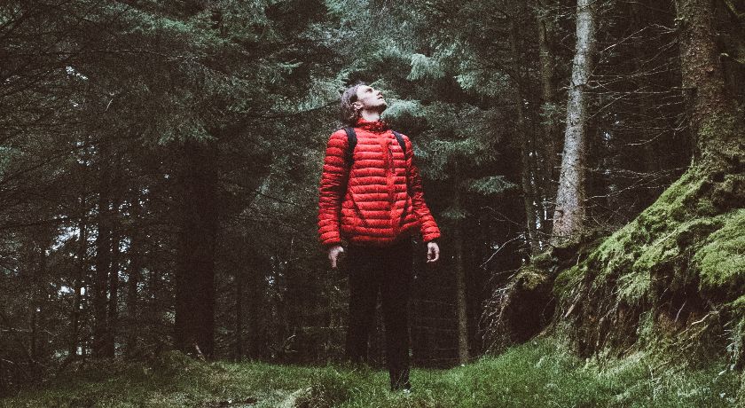 Man looking up in a forest