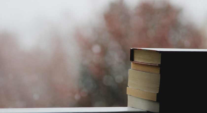 Books on a windowsill
