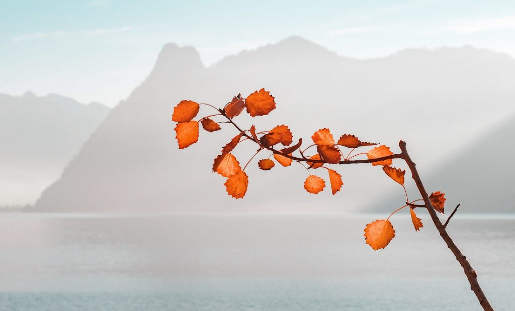 What Autumn Tells Us About Life and Work: There's a Time to Bring Something  Good to an End